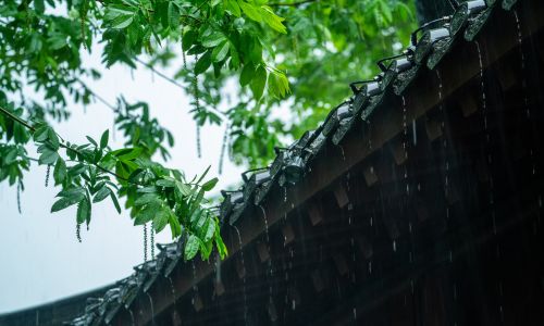 如何申请西班牙非盈利居留？